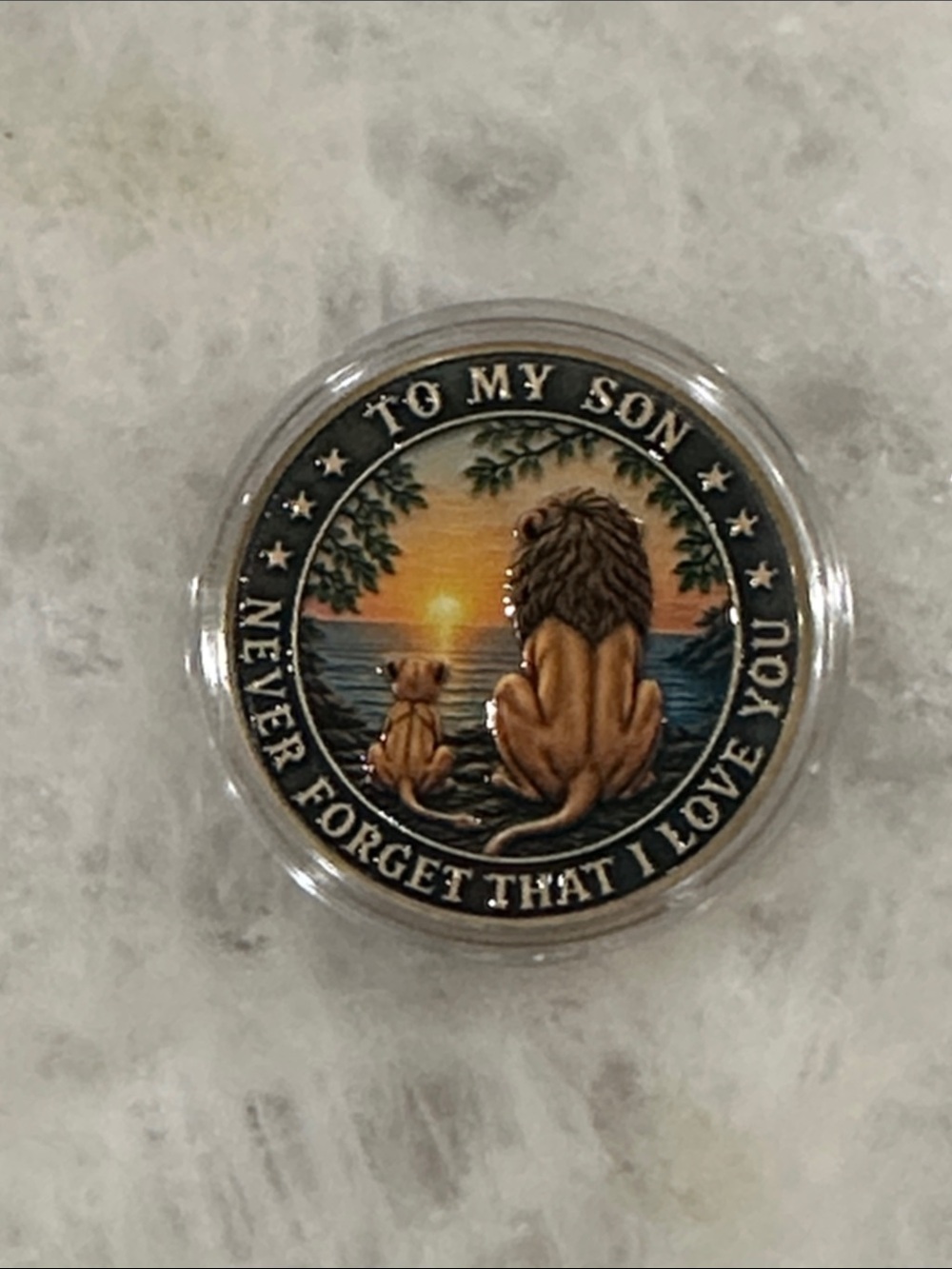 Sentimental Lion & Cub Keepsake Coin - Sunset Design